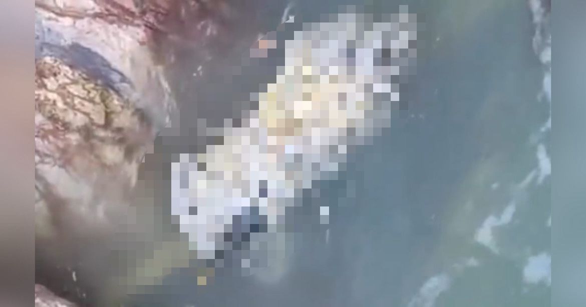 Mayat bunuh dibungkus dalam kanvas di Pulau Angsa